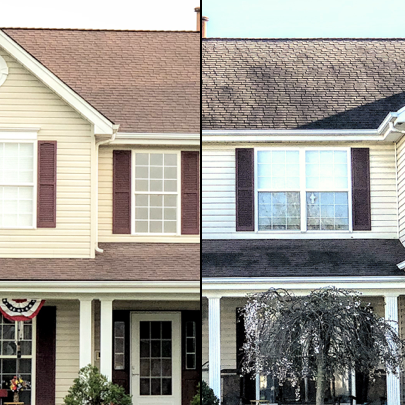Roof Cleaning
